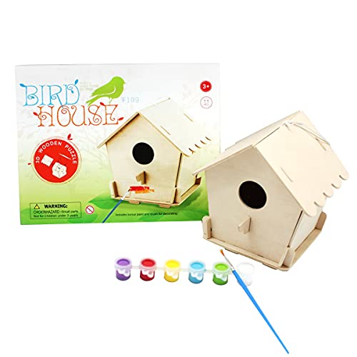 Painting Bird House