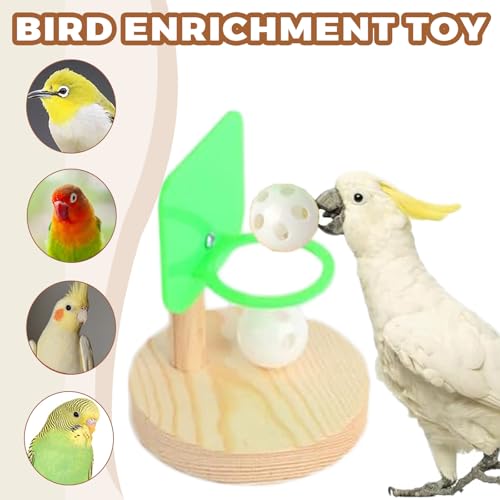 Wishes Mar 2 Parrot Toys Set - Parrot Training, Educational, Interactive Intelligence Toys for Budgies Cockatiel, Parakeet - Image 2