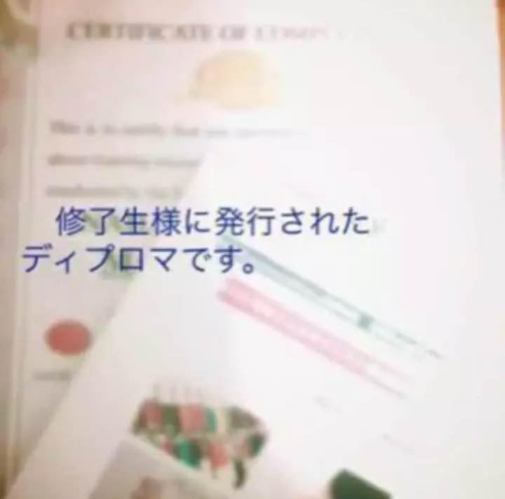 Amazon.co.jp: 認定証 MSR協会認定 整体師カイロプラクター認定講師 