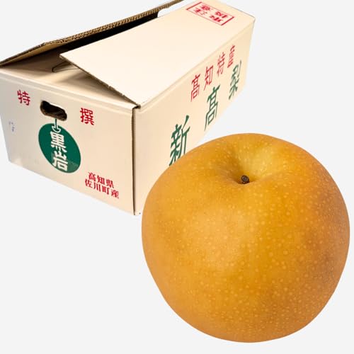 yN[ցz I V 5ʁF5kg // y m V F{ ܂ ʕ t[c e N fU[g j ̓ ꂳ ̓  Ε ~ hV̓ N Mtg 蕨 (2)