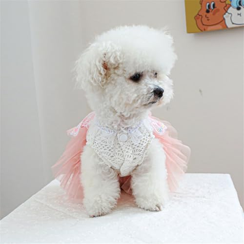 Disfraz Vintage para Perro Vestido de Tul Mariposa XL miniatura 4
