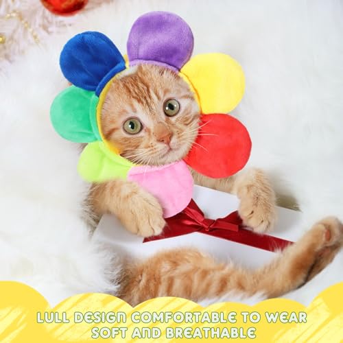Weewooday 5 Pieces Cat Hats Costume Bunny Hat Outfit with Ears Small Dogs Kitten Puppy Easter Party Costume Accessory Headwear(Vivid Style)