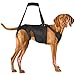Hund und günstig Kaufen-Visinite Hundegeschirr, Hebegeschirr für Hinterbeine/Hüftstütze mit Griffen, Hundestützbandage, Hilfe bei Arthritis, schwachen Beinen, Verletzungen der Beweglichkeit (M)