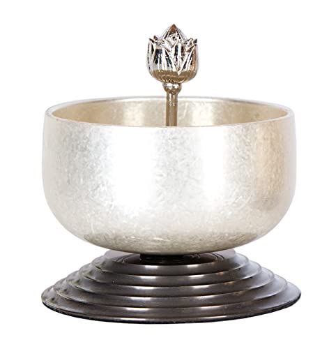    Ƃ F   Zbg ~j  ~jTCY RpNg  _  Ƃ F