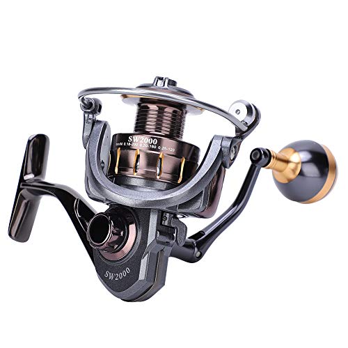 Dioche Sw3000 Metal Fishing Reel 4+1Bb Saltwater Freshwater Carved Hollow Out Lightweight with Brass Main Shaft & Interchangeable Rocker Arm for Casting (SW2000)