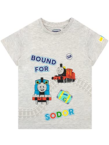 T-shirt Thomas et Ses Amis garçon cadeau anniversaire