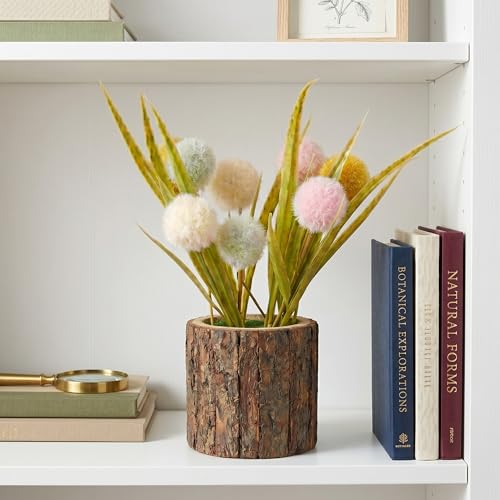 Image of Dekorly Artificial Multi Colour Pingpong Flower with Real Wooden Vase (28CM Overall Height) | Decorative Lifelike Faux Floral Plant in Rustic Tree Log Pot for Living Room(Pingpong Flower)
