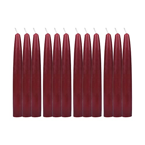 Zest Candle 12-Piece Taper Candles, 6-Inch, Burgundy #TOP1