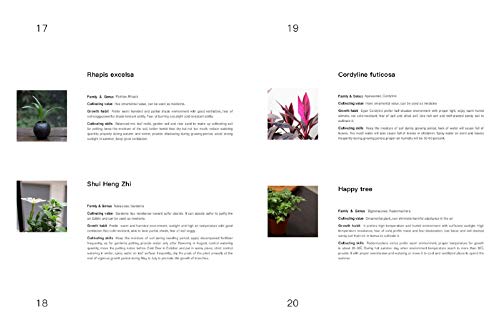 Vertical Garden Design: A Comprehensive Guide: Systems, Plants and Case Studies