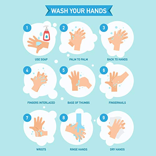 Vita Vie Hand Soap, 8 Oz, 3-Pack - Bulk Hand Cleansing Gel - Alcohol-Free, Paraben-Free, Sulfate-Free, Cruelty-Free - Made In America #TOP4