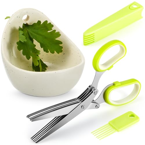 2 Pcs Set of Stainless Steel 5 Blade Kitchen Herb and Scissors, P...