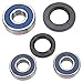 All Balls Wheel Bearing and Seal Kit 25-1248