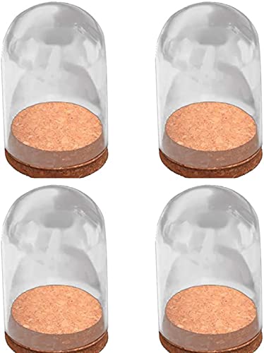 Jarra de sino para árvore de Natal com base e vidro transparente Cloche Bell Jar Dome com exibição d