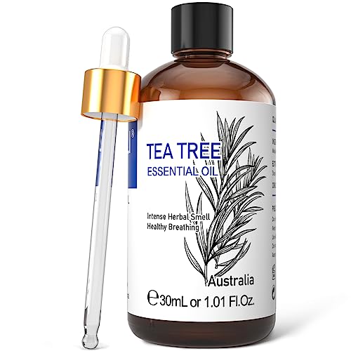 HIQILI Teebaumöl 30ML, 100% Natürliche Aromatherapie Tea Tree Oil für Gesicht, Kerze Machen, Diffusor, Haut & Haare-1 Fl Oz