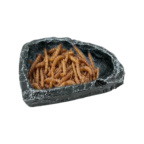 Futternapf für Reptilien, für Reptilien, kleiner Skorpion- Futterspender für Haustiereltern, Tierliebhaber, Terrarien, Unterstände, Geschäfte, Heimbüro