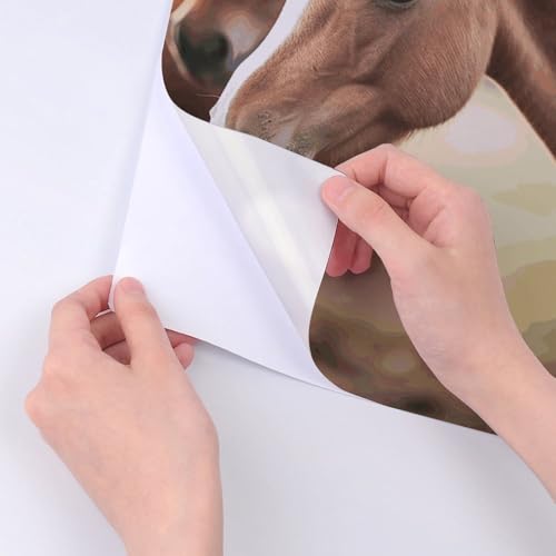 Autocollants de cheval imperméables qui résistent à l'eau pour ordinateur