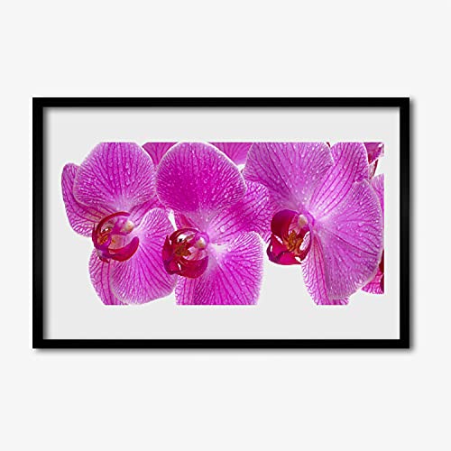 Cadre de prestige en MDF avec affiche photo de nature florale 60x40 cm