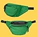 DALIX Fanny Pack w/ 3 Pockets Traveling Concealment Pouch Airport Money Bag (Green)