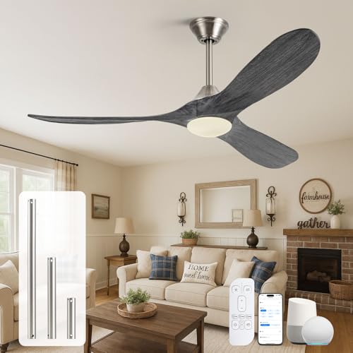 52 Smart Ceiling Fan with Light and Remote