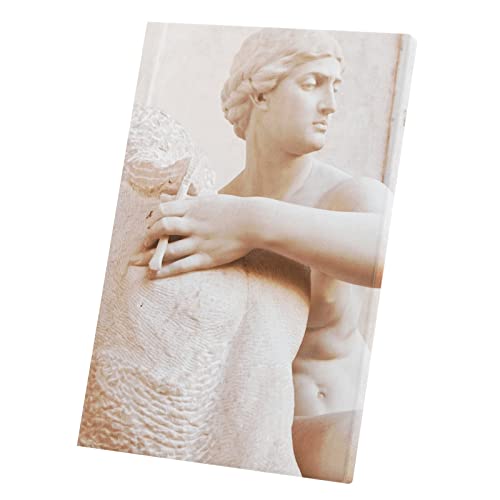Tableau statue de marbre femme grecque en toile imprimée de 40x60 cm pour décoration