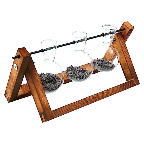 ZENO Desktop Clear Glass Planter Bulb Vase with Retro Solid 