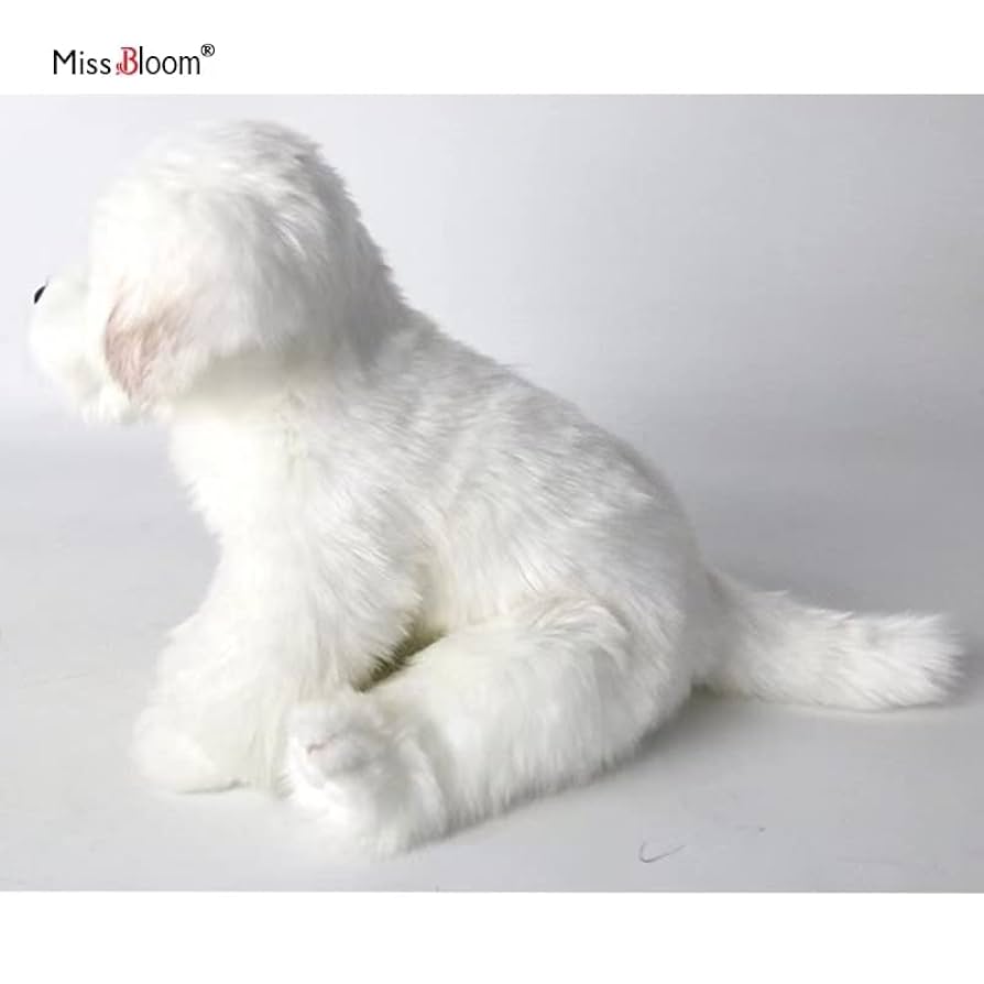 Amazon.co.jp: ビションフリーゼ子犬ぬいぐるみマルチーズ犬