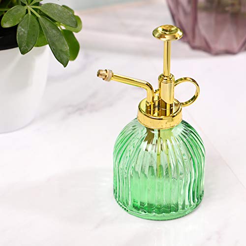 Yardwe Frasco de Spray De Vidro para Plantas| 6. 29/ 16CM de Altura Planta Spritzer Pode Molhar Com