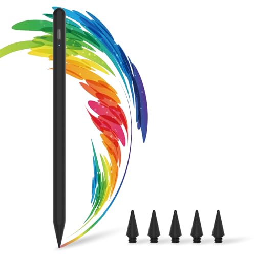 BQSS Penna per iPad (2018-2025), Con Rigetto del Palmo &