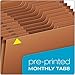 Globe Weis /Pendaflex Heavy Duty Expanding File with Flap, 12 Monthly Pockets, 1/3 Cut Tabs, Brown, Letter Size (R117MLHD)