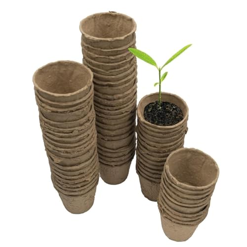 ZYBUX 96 piece Round Fibre Pots for Garden - 6 cm Wide Biodegradable Small Plant Pots for Seedling - Cultivation Gardening Seeding Cups Containers - Nursery Pots