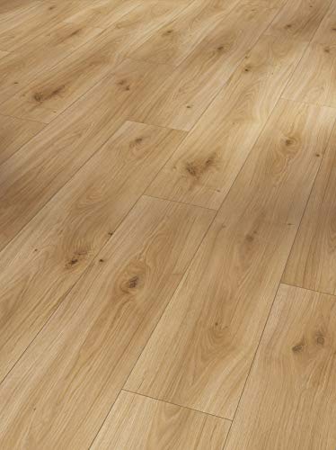Preisvergleich Produktbild Parador Handmuster Laminat Basic 400 Eiche Horizont V-Fuge