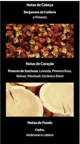 Perfume Árabe Salvo Intense Maison Alhambra Eau De Parfum 100ml