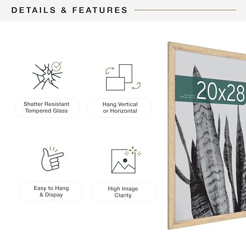MCS Studio Gallery 20x28 Poster Frame Natural Woodgrain, Vertical & Horizontal Wall Hanging Large Picture Frame for Photos, Posters & Art Prints (2-Pack)