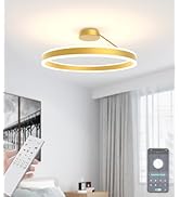 Amazon.co.jp : Auesk シーリングライト 6-10畳 北欧 おしゃれ