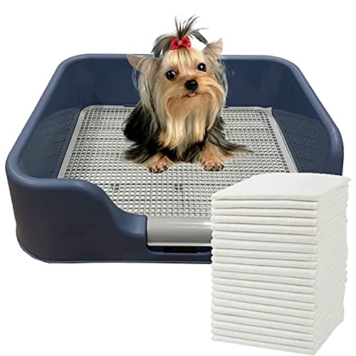 PS KOREA] Indoor Dog Potty Tray â with Protection Wall Every Side for No Leak, Spill, Accident - Keep Paws Dry and Floors Clean (Blue) + Pee PAD 100 PCS