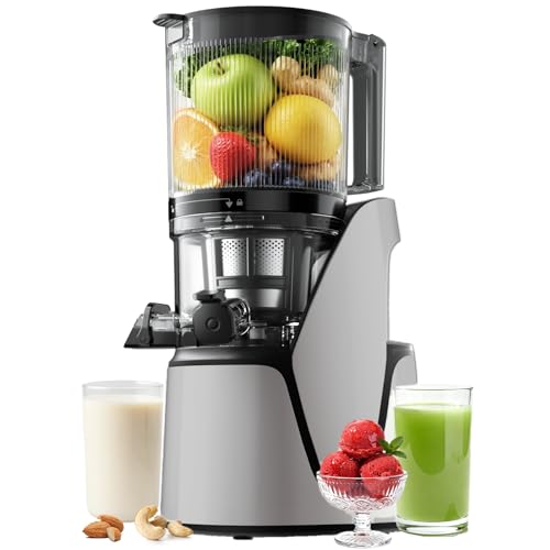 EanOruus Cold Press Juicer, 5.8" Wide Feed Chute Juice Extractor Machine with 400W, High Juice Yield, Slow Masticating Juicer for Whole Vegetables & Fruits, Silver Gray