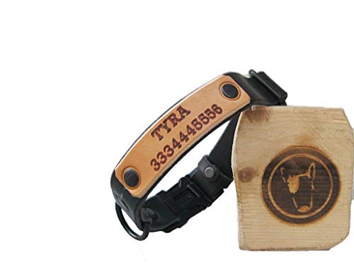 Collare per Cani in Pelle di Prima Scelta con