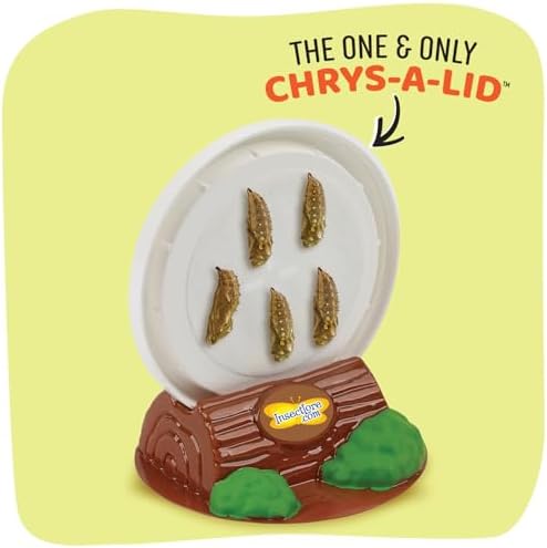 Insect Lore Cup of Caterpillars - 5 Live Painted Lady Caterpillars with Food - Refill for Butterfly Garden Kit - Chrys-A-Lid Holding Log Included - STEM Learning Activity - 2