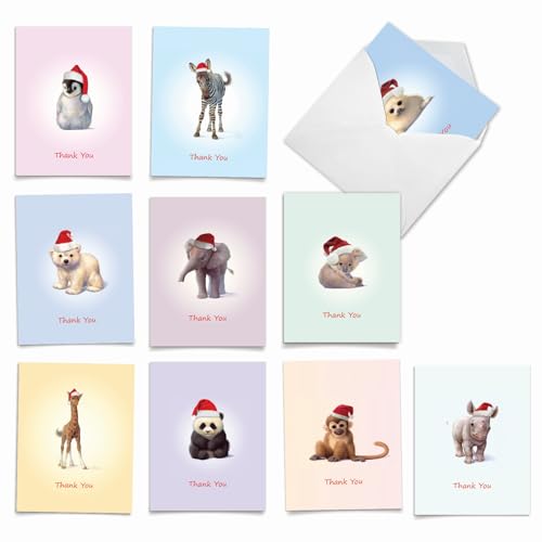 The Best Card Company - 10 Thank You Christmas Cards with Envelopes - Boxed Gratitude Assortment, Xmas Holiday Cards (4 x 5.12 Inch) - Christmas Zoo Babies M6726XTB