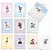 M6726XTB Christmas Zoo Babies: 10 Assorted Blank Christmas Thank You Note Cards Featuring Sweet and Adorable Baby Zoo Animals, w/White Envelopes.