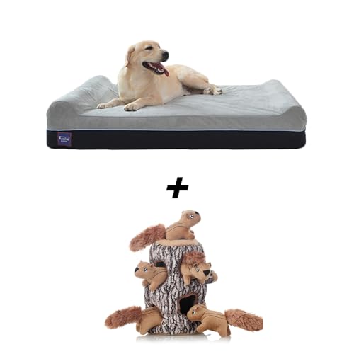 Image of Memory Foam Dog Bed + Squirrel Dog Toy