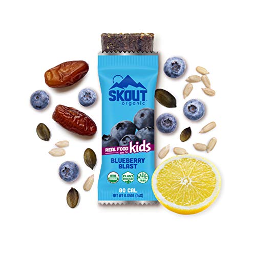 SKOUT Organic Blueberry Blast Kids Bars, 5.1 OZ - Thumbnail 2