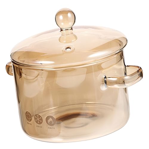 HOMOBABE Borosilicate Glass Stew Pot with Lid