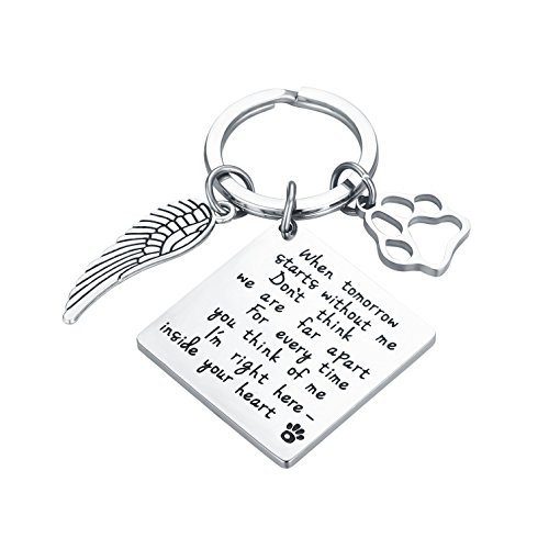 CJ&M Loss of Pet Keychain - Pet Memorial Keychain Jewelry Angel With Paws, Family dog Family cat Family pet Keychain for Pet, Dog Keychain