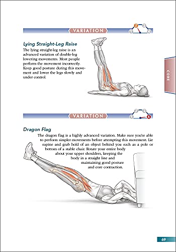 Bodyweight Strength Training Anatomy