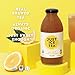 Just Ice Tea Organic Iced Tea, 16 Fl Oz Glass Bottles (Half Tea & Half Lemonade, Pack of 12)