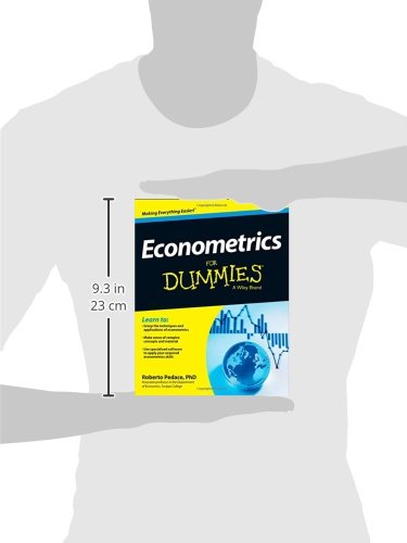 Econometrics For Dummies #TOP4