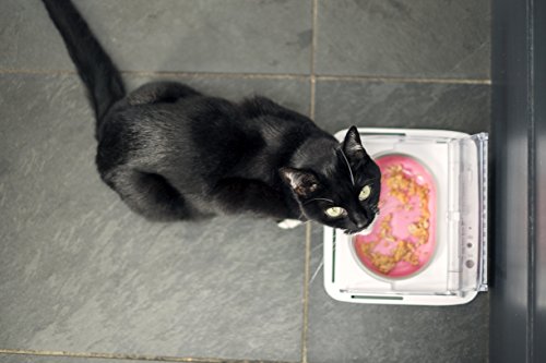 Sure Petcare SureFeed Futterschale für Katzen und kleine Hunde, luftdicht, bewegungsgesteuerter Deckel, hält das Futter frisch, für Nass- und Trockenfutter, 4 x C-Batterien erforderlich, weiß