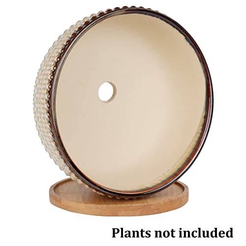 Epfamily 8 Inch Ceramic Succulent Shallow Planter Pot With Drainage Hole And Saucer Bonsai Planter For Indoor Plants White #TOP5