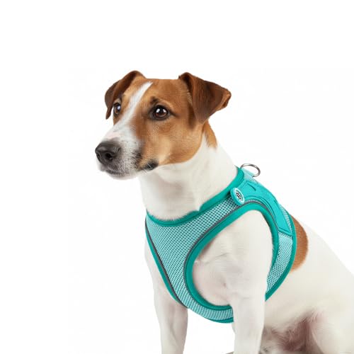 Max & Molly Hundegeschirr Matrix 2.0 Türkis/L als Air Vest Geschirr, Step-In Geschirr mit Gotcha! Smart ID, Außenseite aus leichtem Air Mesh Material - Komfort für deinen treuen Begleiter